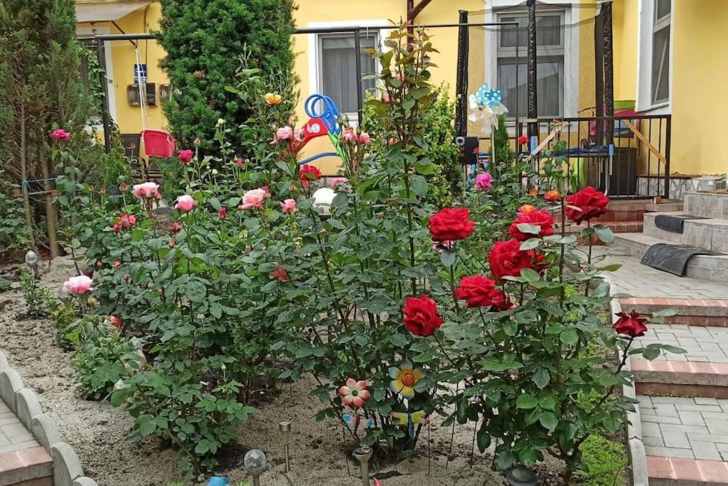 Color Home Hermannstadt 1 ภายนอก รูปภาพ