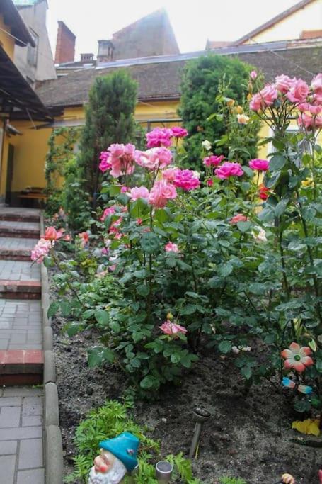 Color Home Hermannstadt 1 ภายนอก รูปภาพ